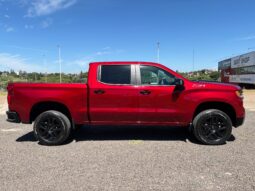 
										CHEVROLET SILVERADO Z71 completo									