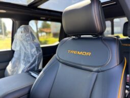 
										FORD F-150 TREMOR completo									
