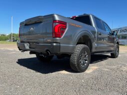 
										FORD F-150 TREMOR completo									