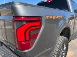 
										FORD F-150 TREMOR completo									