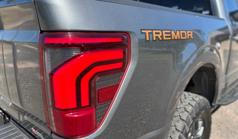 
								FORD F-150 TREMOR completo									