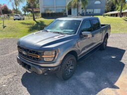 
										FORD F-150 TREMOR completo									