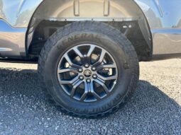 
										FORD F-150 TREMOR completo									
