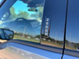 
										FORD F-150 TREMOR completo									