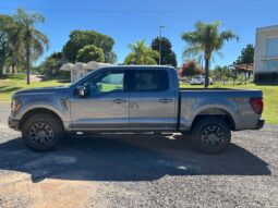 
										FORD F-150 TREMOR completo									