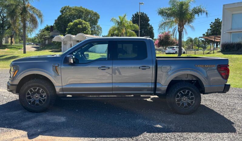 
								FORD F-150 TREMOR completo									
