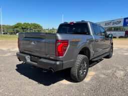 
										FORD F-150 TREMOR completo									