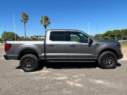
										FORD F-150 TREMOR completo									