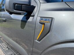 
										FORD F-150 TREMOR completo									