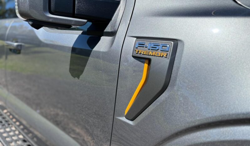
								FORD F-150 TREMOR completo									
