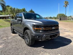 
										FORD F-150 TREMOR completo									