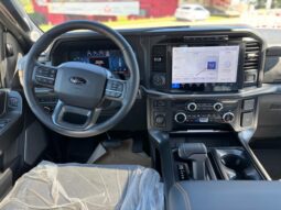 
										FORD F-150 TREMOR completo									
