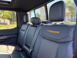 
										FORD F-150 TREMOR completo									