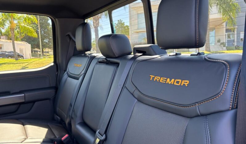 
								FORD F-150 TREMOR completo									
