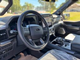 
										FORD F-150 TREMOR completo									