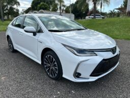 
										TOYOTA COROLLA 2.0 SEG completo									