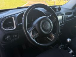 
										JEEP Renegade 1.8L Sport completo									