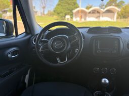 
										JEEP Renegade 1.8L Sport completo									