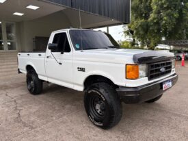 FORD F-100 3.6 Nafta/GNC