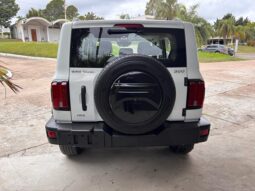 
										GWM Tank 300 completo									