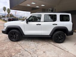 
										GWM Tank 300 completo									